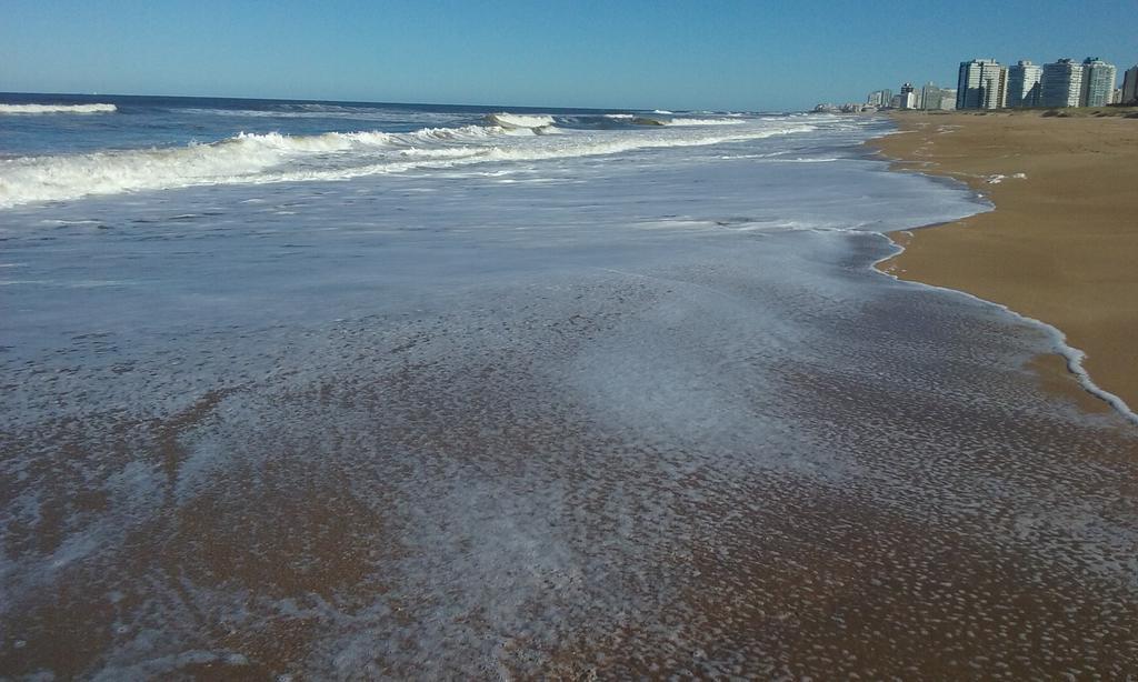 Spiaggia Brava Punta Punta del Este Eksteriør billede