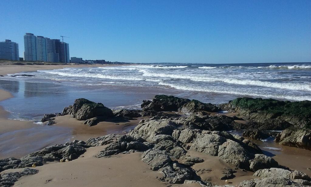 Spiaggia Brava Punta Punta del Este Eksteriør billede